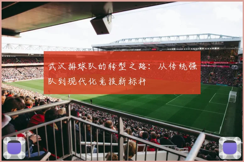 武汉排球队的转型之路：从传统强队到现代化竞技新标杆