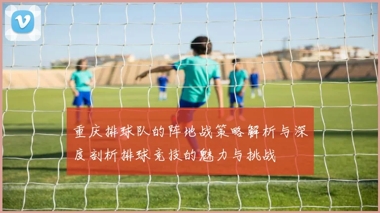 重庆排球队的阵地战策略解析与深度剖析排球竞技的魅力与挑战