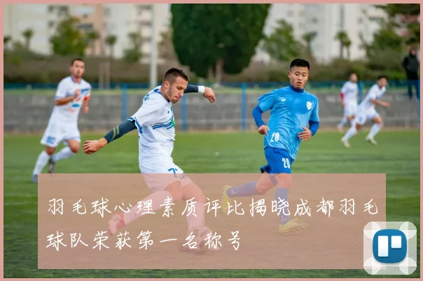 羽毛球心理素质评比揭晓成都羽毛球队荣获第一名称号