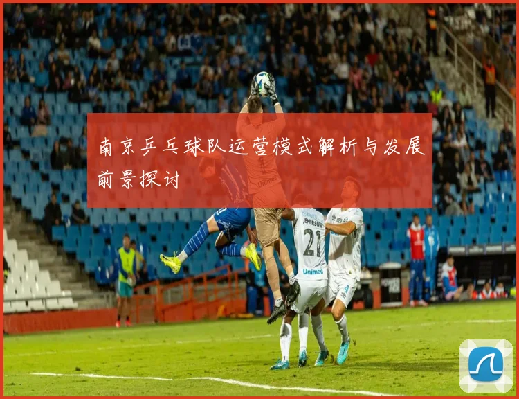 南京乒乓球队运营模式解析与发展前景探讨