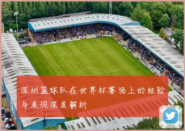 深圳篮球队在世界杯赛场上的经验与表现深度解析