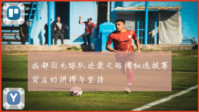 成都羽毛球队逆袭之路揭秘选拔赛背后的拼搏与坚持