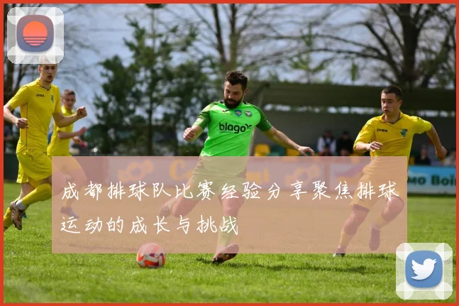 成都排球队比赛经验分享聚焦排球运动的成长与挑战