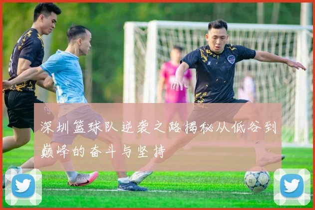 深圳篮球队逆袭之路揭秘从低谷到巅峰的奋斗与坚持
