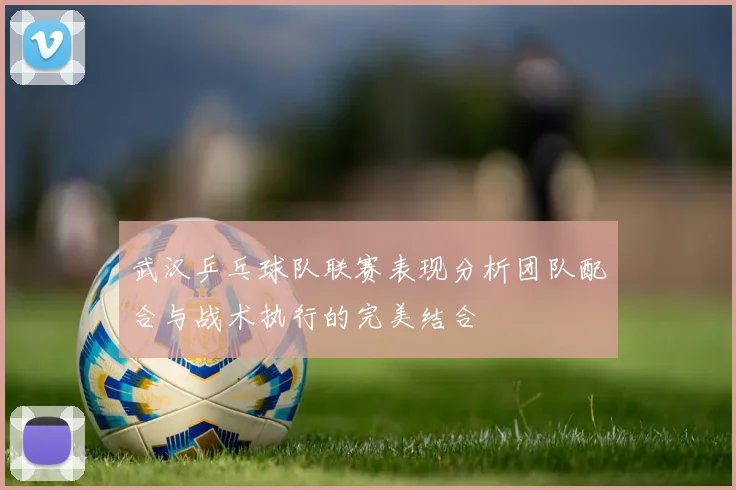 武汉乒乓球队联赛表现分析团队配合与战术执行的完美结合