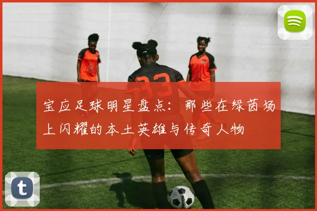 宝应足球明星盘点：那些在绿茵场上闪耀的本土英雄与传奇人物