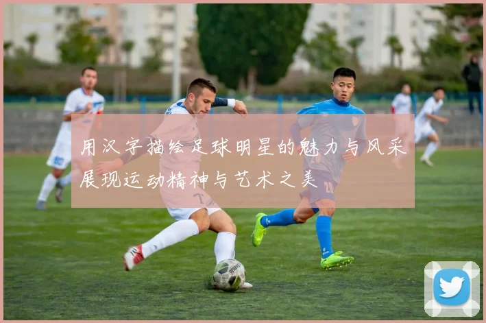 用汉字描绘足球明星的魅力与风采展现运动精神与艺术之美