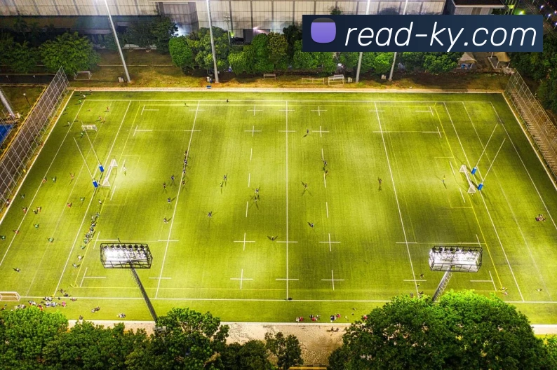 开云平台生态图